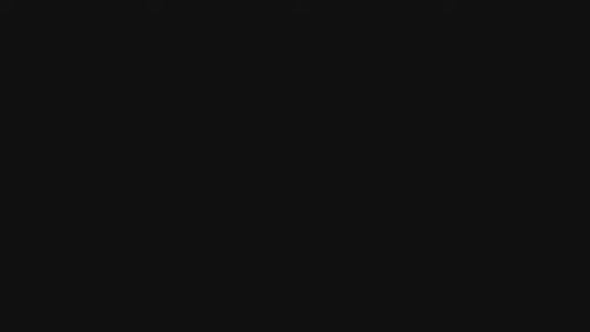 Cortador Rebanador Profesional + BOTELLA BATIDORA